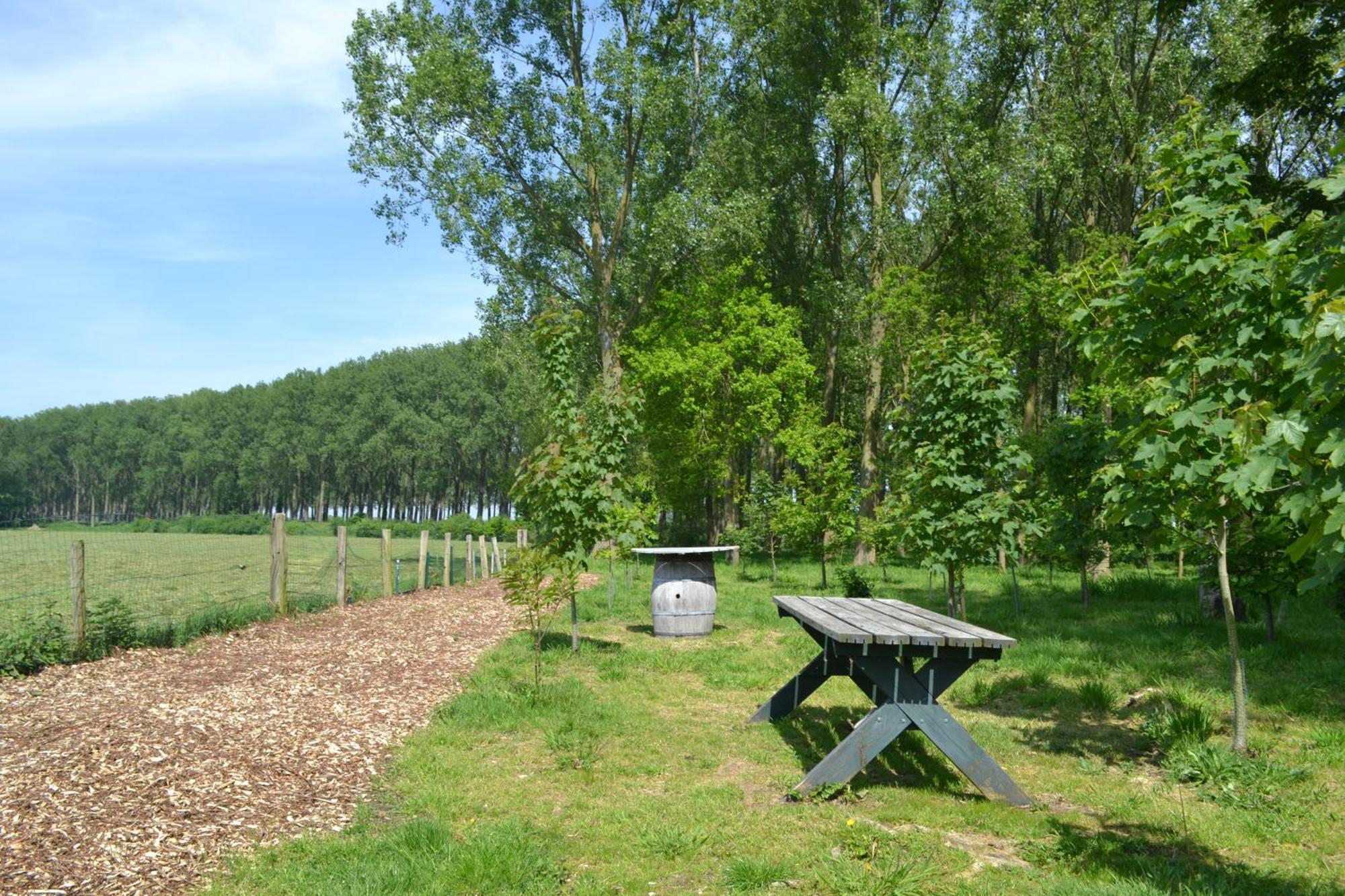 De Smokkelaar & Het Schuurtje Villa Maldegem Ngoại thất bức ảnh